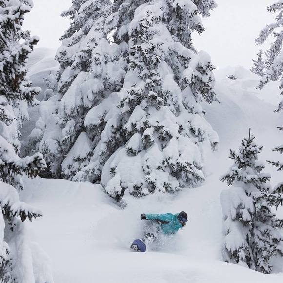 Meet your Posher, Jessy - Picture 1 of 1